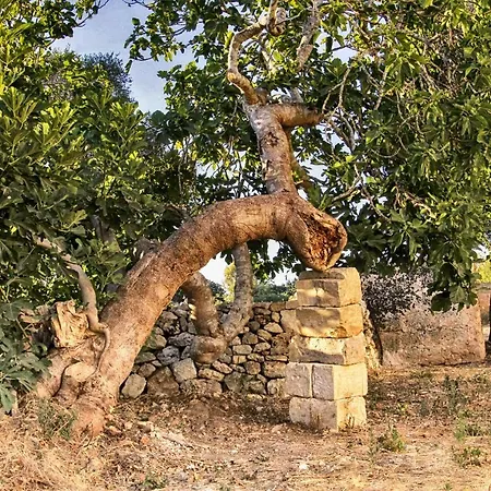 Alloggio per agriturismo Masseria Costa Corigliano dʼOtranto