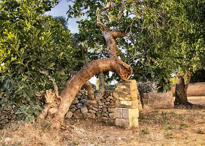 Alloggio per agriturismo Masseria Costa Corigliano dʼOtranto